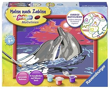 Malen Nach Zahlen Delfin