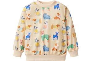 NUBEEHOHO Boys Cotton Sweatshirts Crewneck Long Sleeve Pullover Toddler Winter Warm Sweater Tops 2-7T