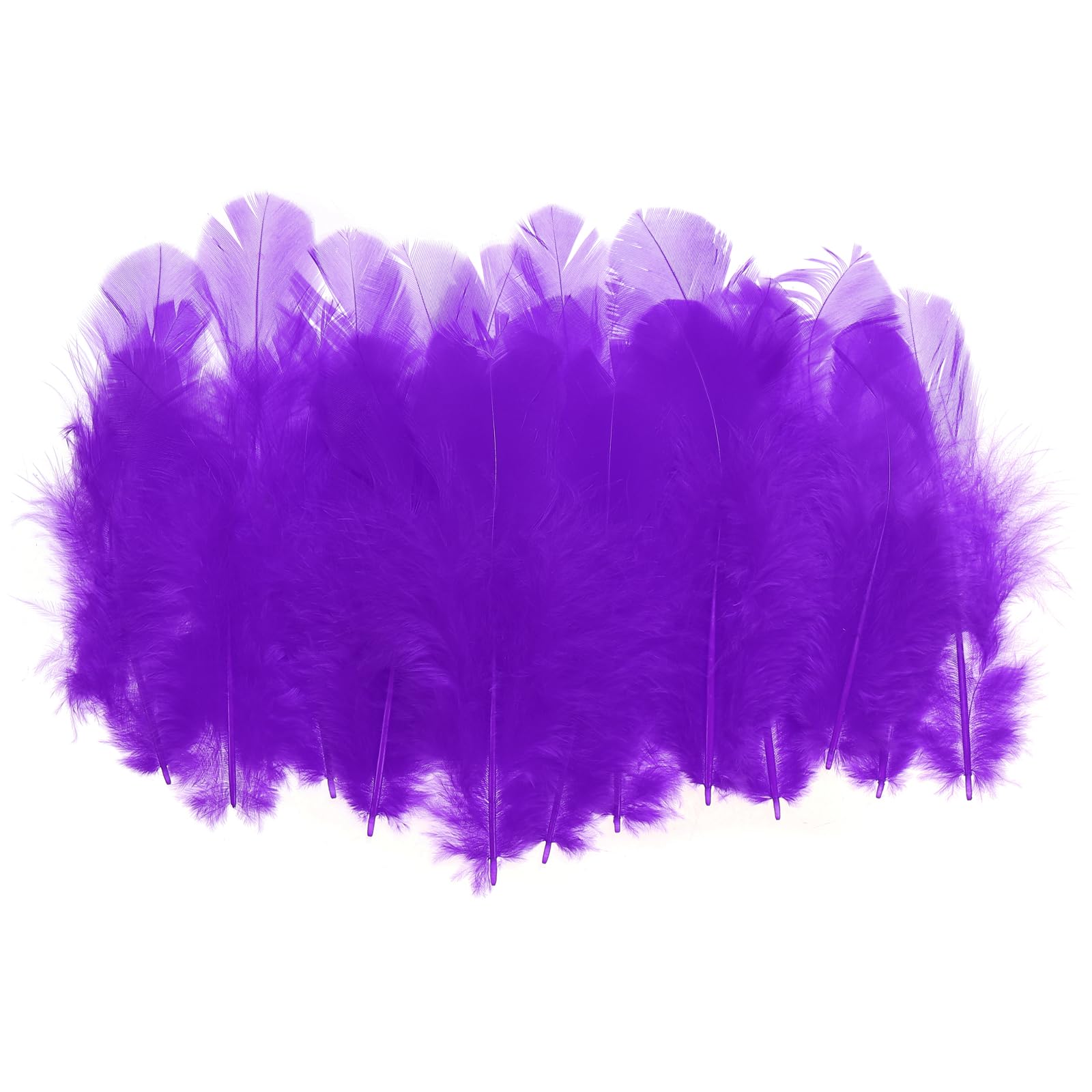 PATIKIL 1.5-3 Inch Saddle Hackle Rooster Feather, 300 Pcs Bulk Natural Feathers Fluffy Craft Feathers for Dream Catcher Earrings Pendant, Dark Purple
