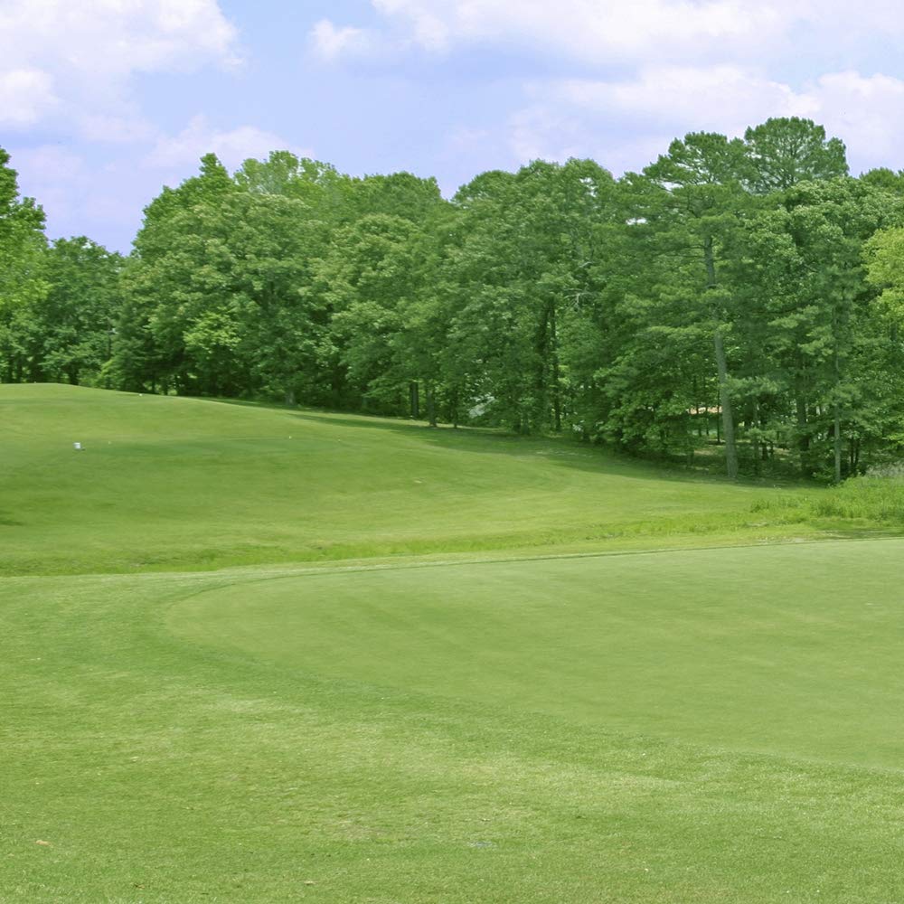 Yukon bermuda grass – Ericvisser