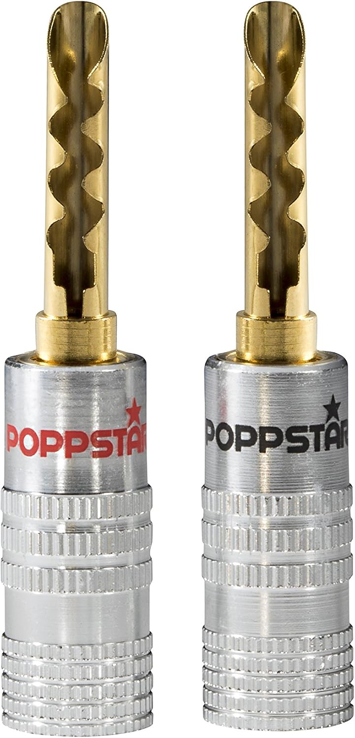 POPPSTAR 2x Hollow Banana Plugs, banana plugs for speaker cables (up to 6mm²), speakers, receivers