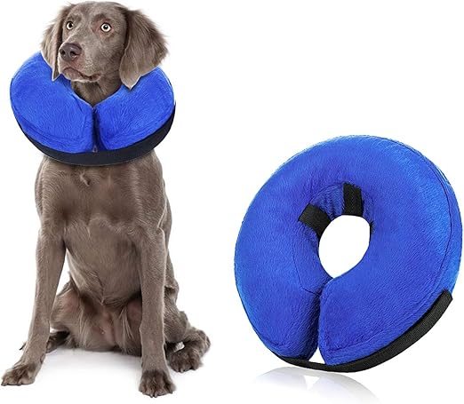 blow up dog collar amazon