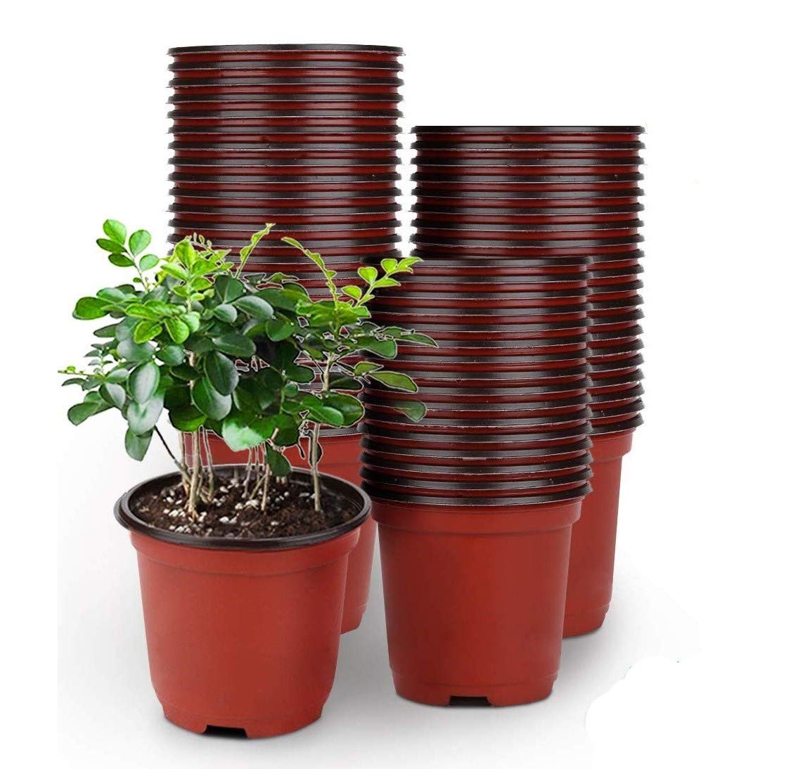 LATERN 50Pcs 15cm Plastic Plant Flower Pots Lightweight Seed Starting Pots Nursery Seedlings Pots Flower Plant Container (15 x 13cm) — image 1