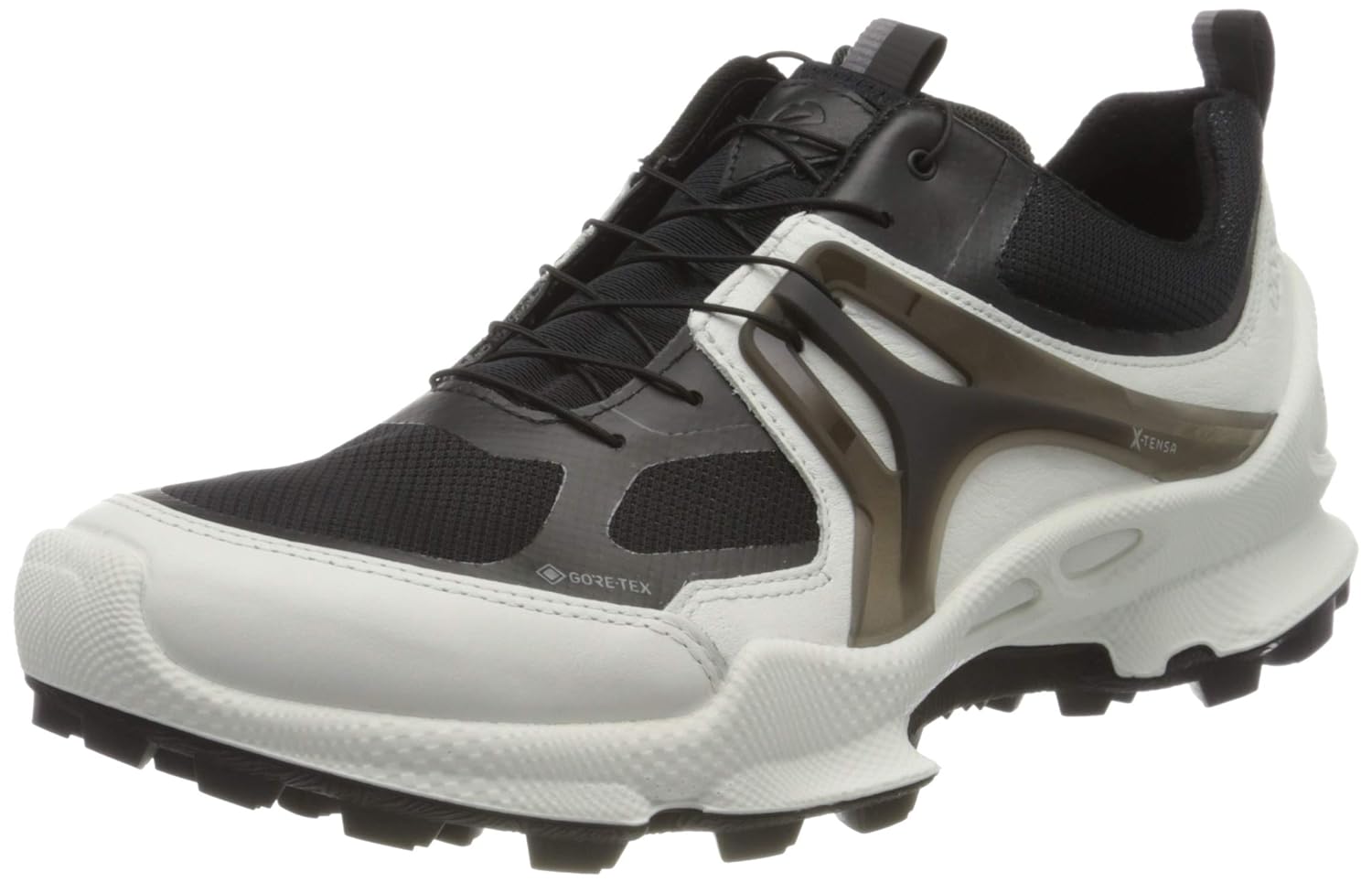 ecco sport biom