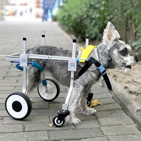 Amazon Co Jp 後肢 前脚 前足 前肢用の大型犬用車椅子 調節可能なフルサポートペットカート障害者犬用後足リハビリテーション障害のある猫麻痺ウサギ 4輪 25 60kgペット ホーム キッチン