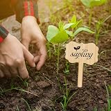 KINGLAKE Bamboo Plant Labels and Marker Pen 30 Pcs 6.5x10cm Garden Tags view 7