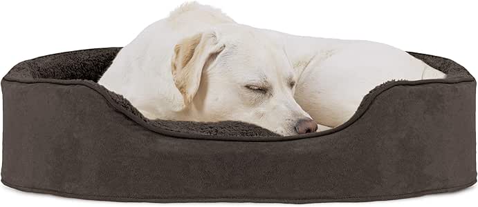 oval cushy dog sofa
