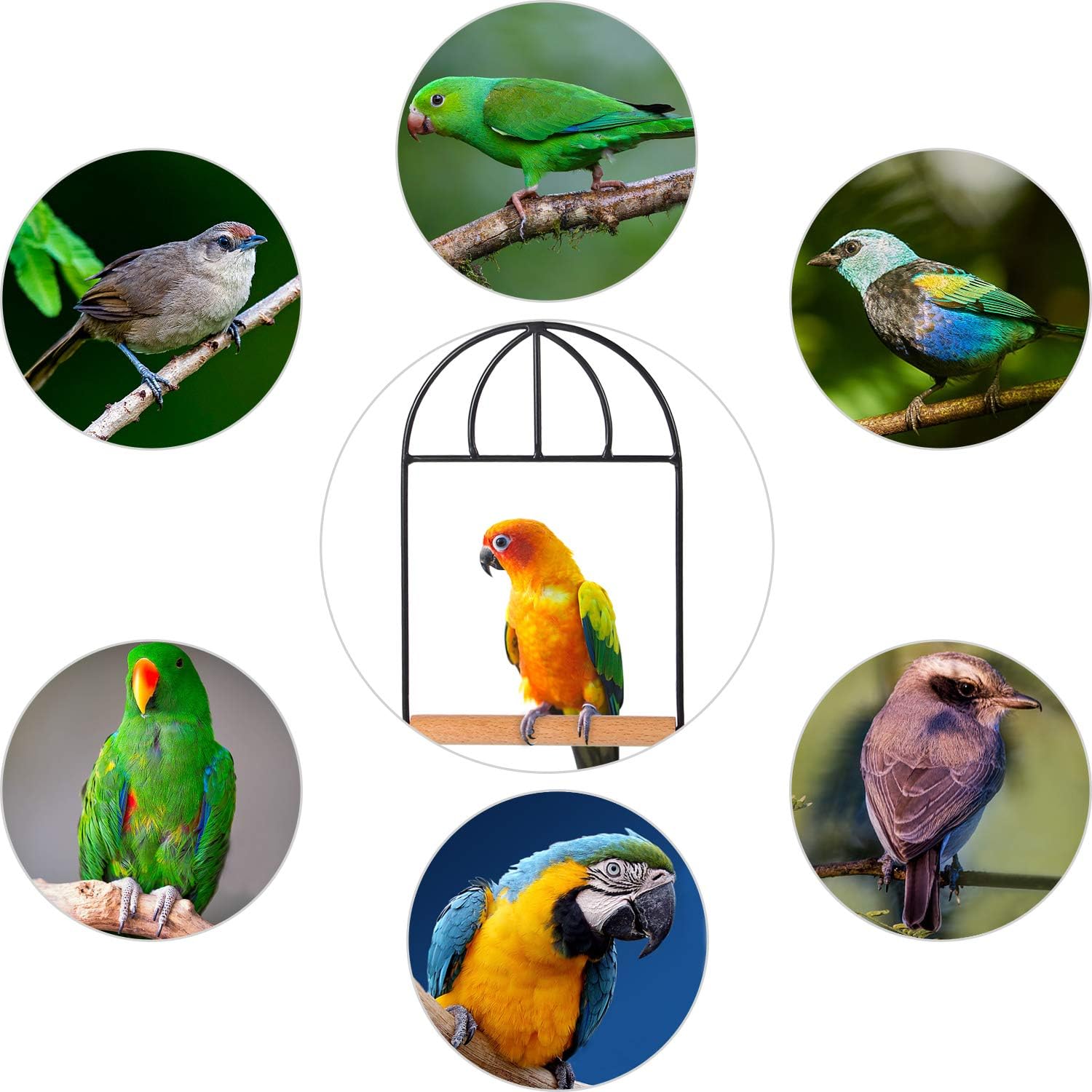 Kimdio Bird Swing Natural Wooden Cage Hammock, Bird Toy Parrot cage perches Cages Cockatiel Conure caiques Parakeets Budgie parrotlet Swings Perch: Garden & Outdoor