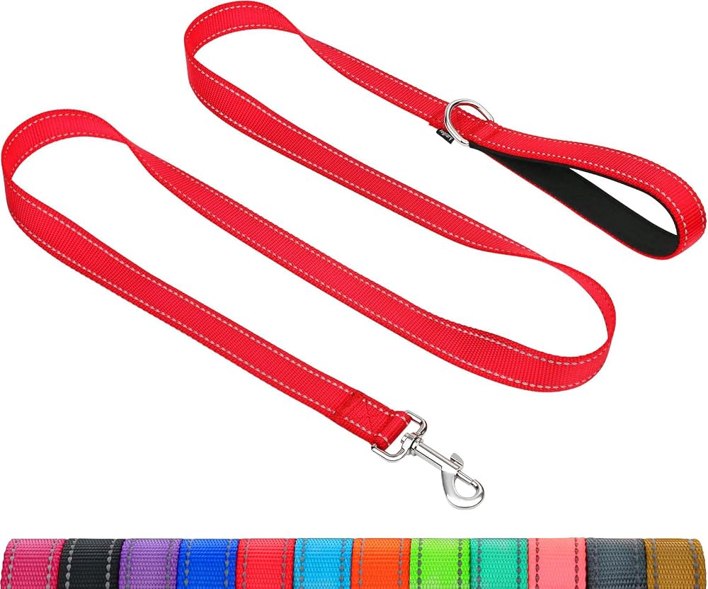 Taglory Dog Leads for Small Medium Dogs Reflective Padded Handle 2cm x 120cm Red