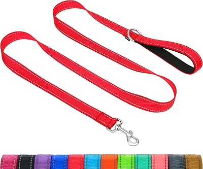 Taglory Dog Leads for Small Medium Dogs Reflective Padded Handle 2cm x 120cm Red