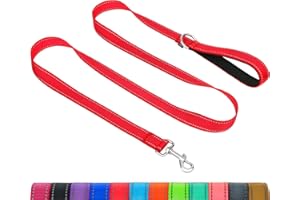 Taglory Dog Leash for Medium Large Dogs, Double-Sided Reflective Dog Leash with Soft Neoprene Padded Handle, 1 inch by 6 ft, Fit Medium Large Breeds Dogs 20-150 lbs, Red