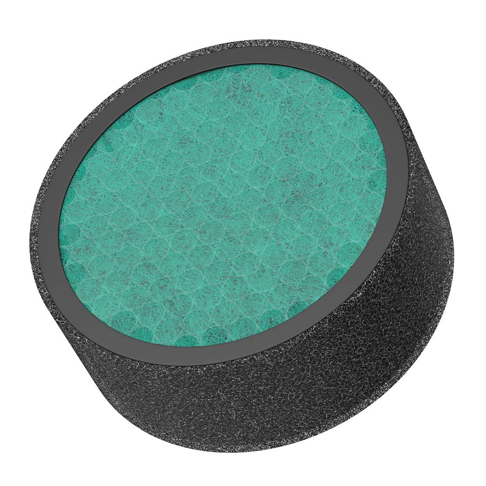 DUOMISHU HEPA Air Filter Replacement, 4-in-1 True HEPA Filter Compatible Air Purifier A9