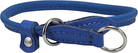 amazon rolled leather dog collar