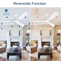 Depuley 60" Modern Ceiling Fan with Lights and