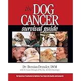 lily's kitchen promotional code