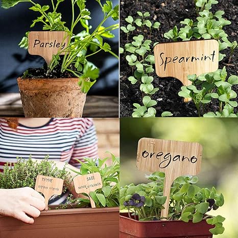 ANBET 60 Piezas Etiquetas de Plantas de bambú, 50 Piezas Etiquetas ...