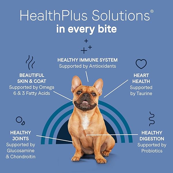 CANIDAE PURE PETITE PREMIUM FREEZE-DRIED RAW COATED DOG FOOD FOR SMALL BREEDS, REAL CHICKEN RECIPE, 10 LBS, GRAIN FREE