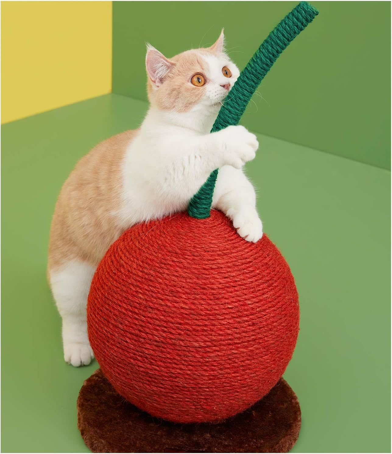 cute scratching post