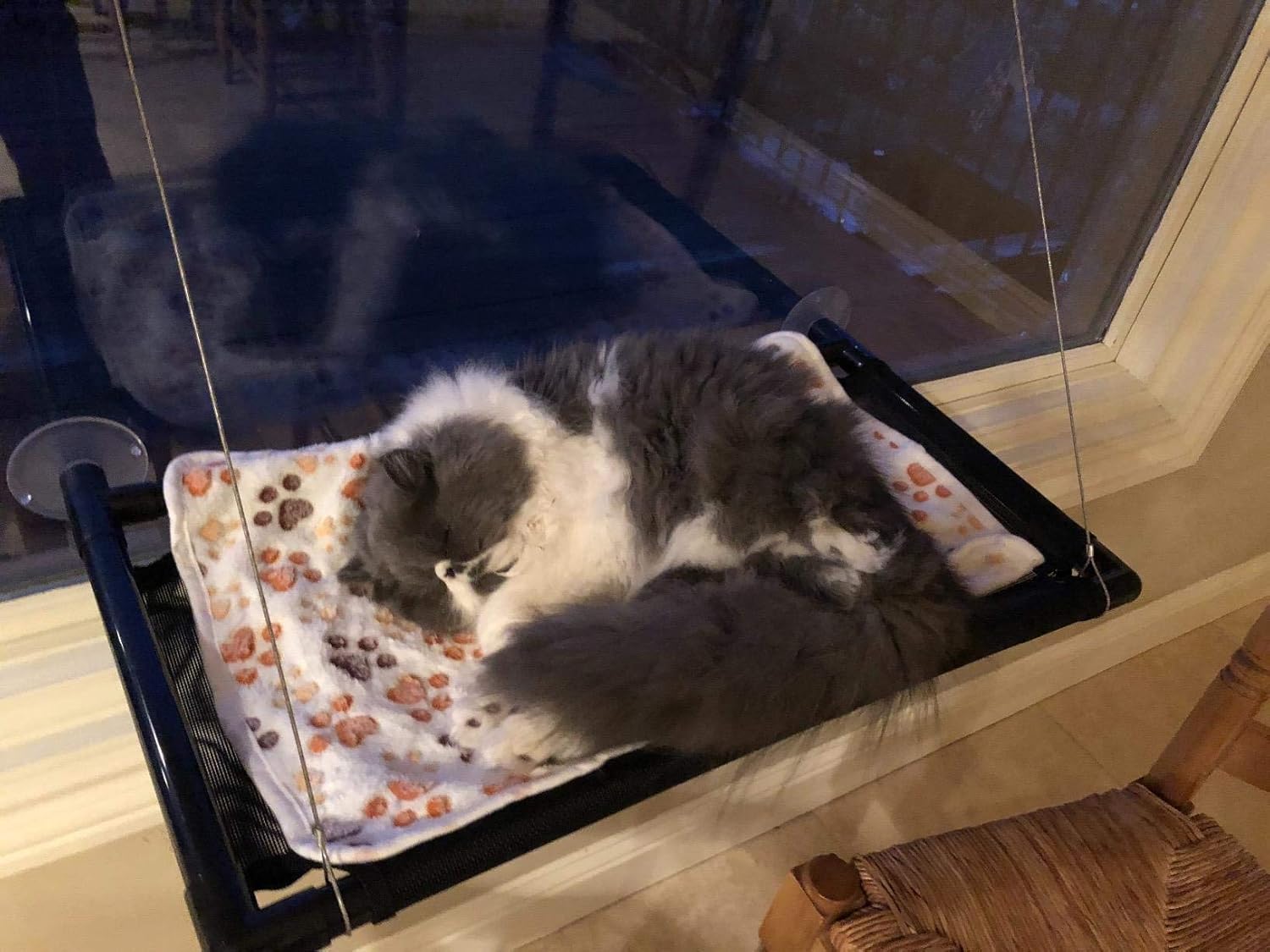 Cat Hammock Bed, Cat Window Perch for Large Big Cat Shelves, Hanging Cat Accessories Furniture for 2 Kitty Pet Animal Kitten Window Seat Cot with 4 Durable Heavy Duty Suction Cups Holds Up to 70lbs : Pet Supplies