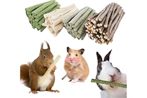 GREMBEB Bunny Chew Stick Rabbit Toy Treat 250g 4 in 1 Molar Stuff 100% Organic Natural Snack Apple Branch Sweet Bamboo Timoth
