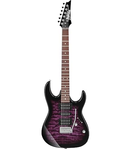 Amazon.com: Ibanez GIO GRGR221PA Electric Guitar - Aqua Burst