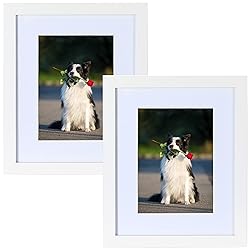 PEALSN 11x14 Picture Frame Set of 2, Made of High