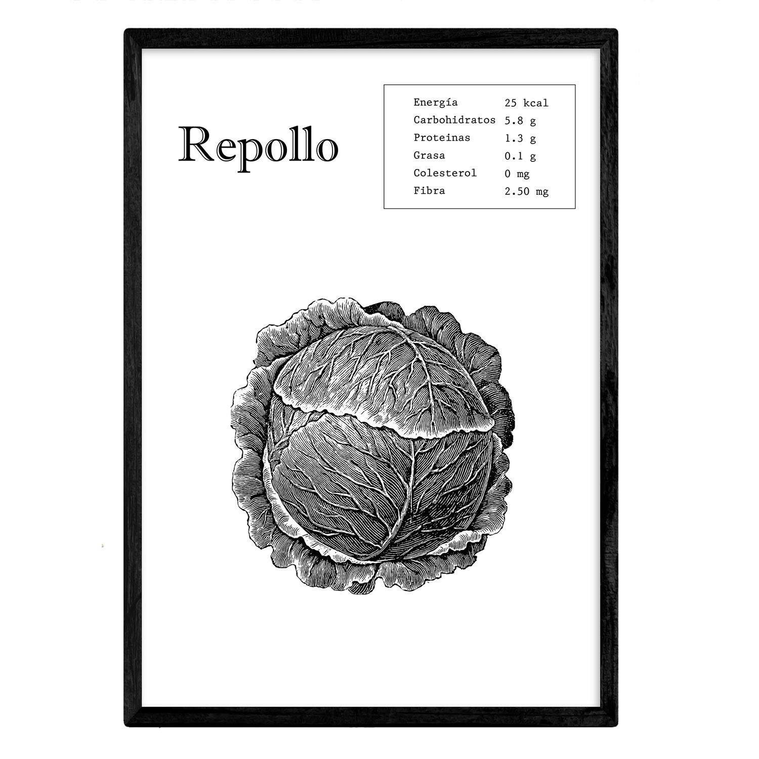 Nacnic Poster Cabbage. Pictures of fruit and vegetables. A3 size
