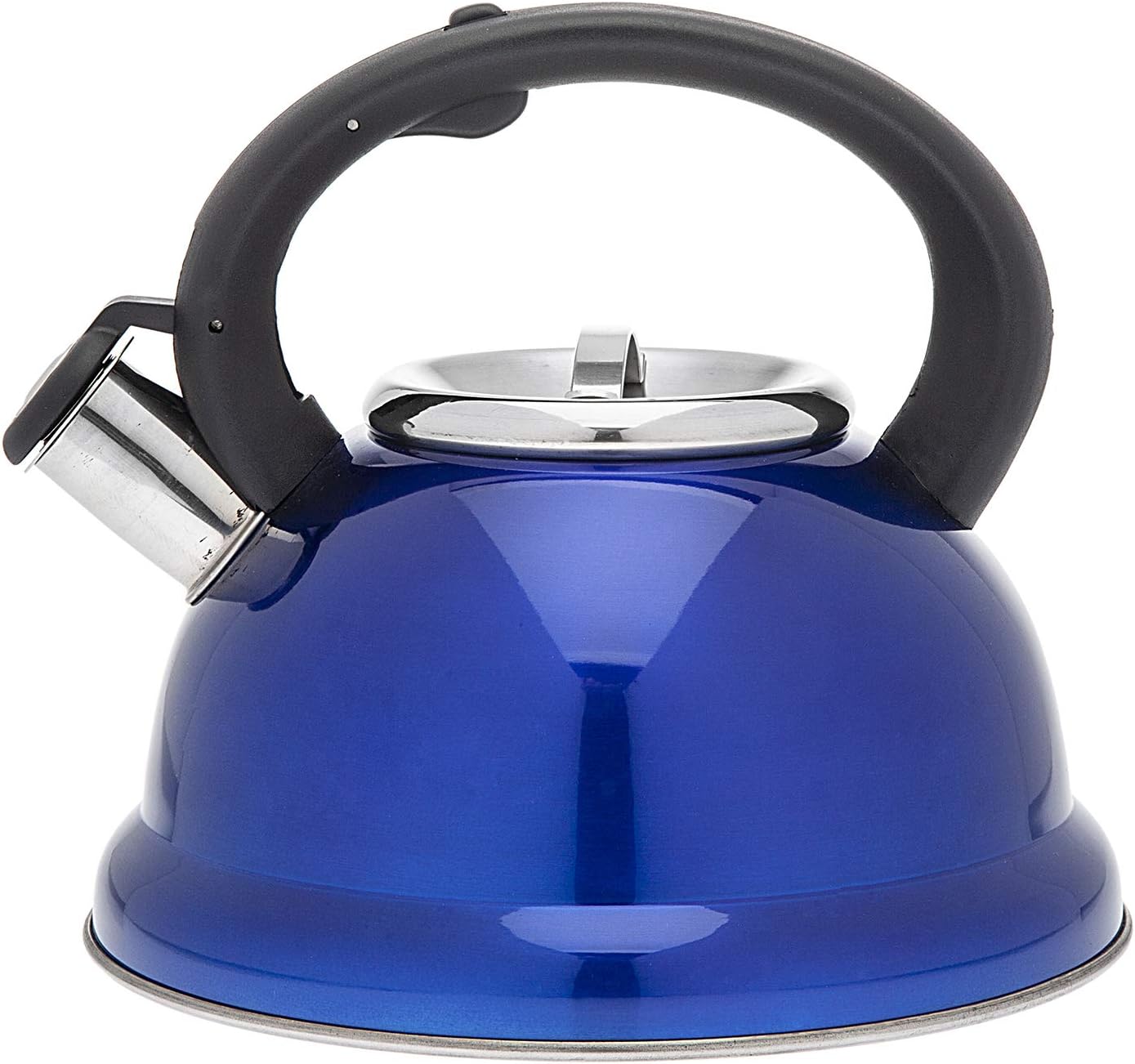 Blue Tea Kettle Stainless Steel Whistling Teapot 2.6