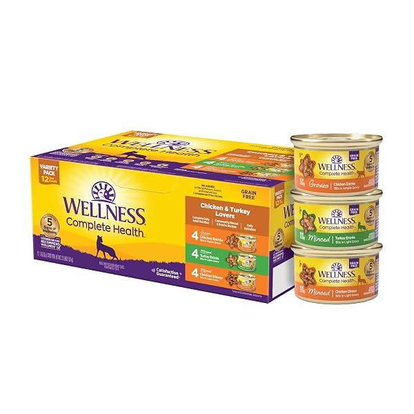 WELLNESS COMPLETE HEALTH GRAVY AND MINCED VARIETY PACK...