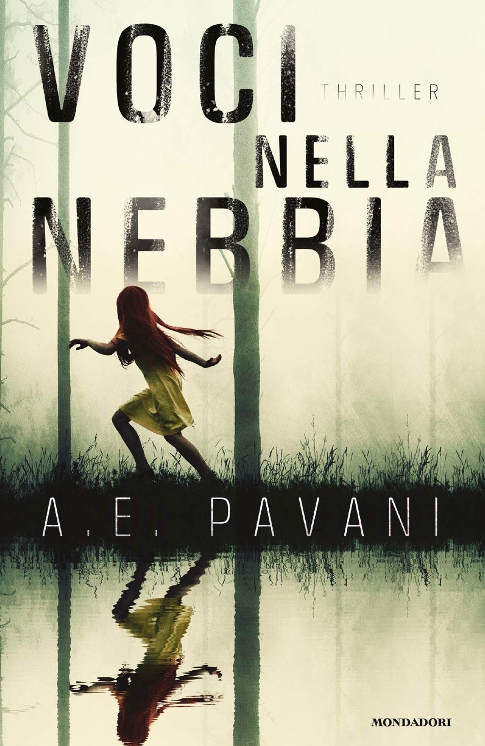 Voci nella nebbia - A.E. PAVANI