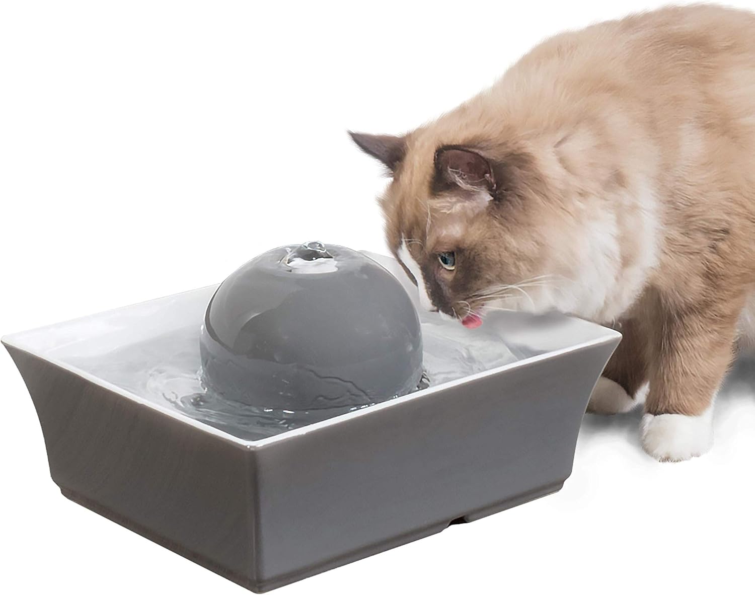 dog breeds that can be left alone all day