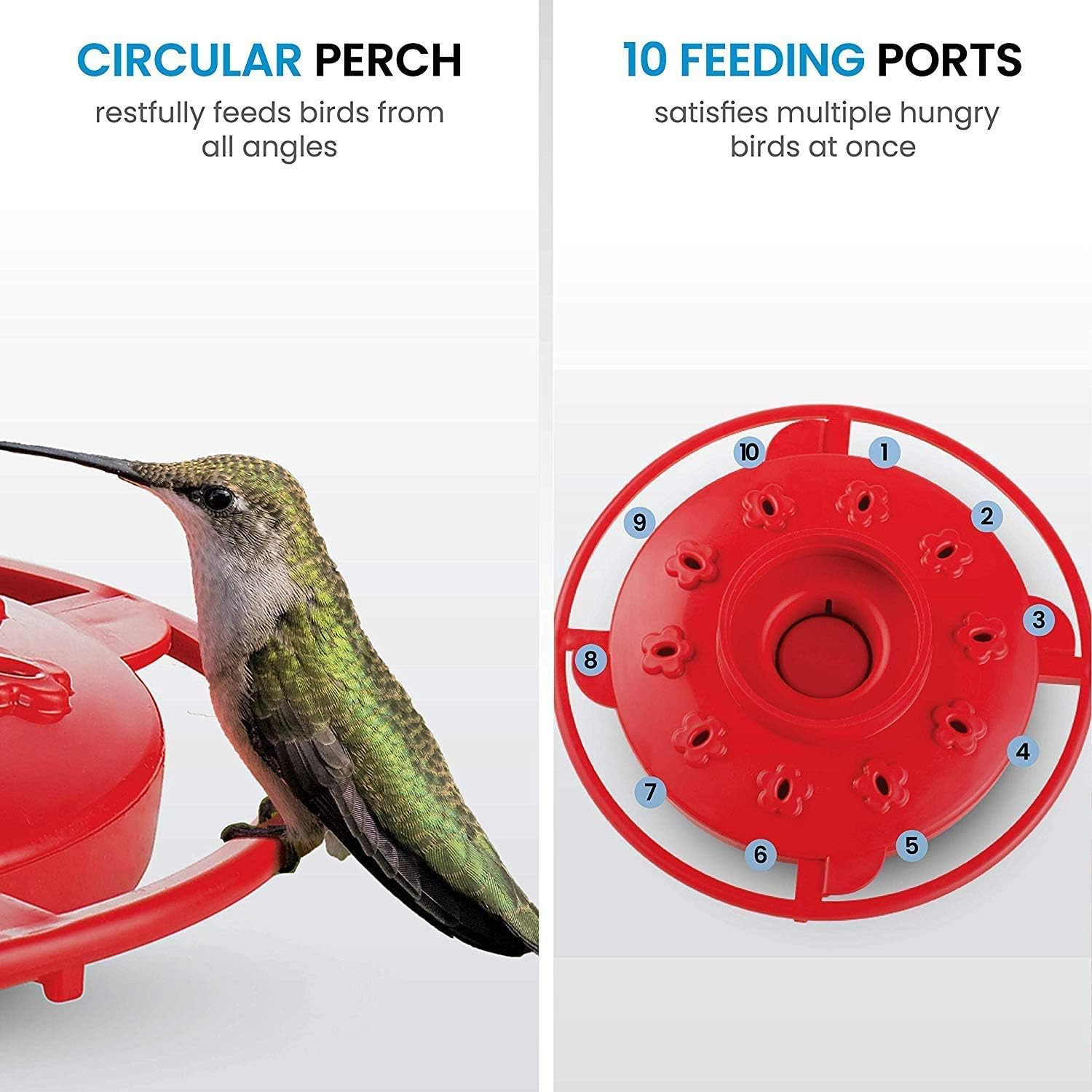 SEWANTA Hummingbird Feeders for Outdoors 16 Ounce - [Set of 2] First Nature Hummingbird Feeder Include, Perch with 10 Feeding Ports - Bundled with 2 Hanging Chains 9.5 Inch (4 Pcs Set) : Garden & Outdoor