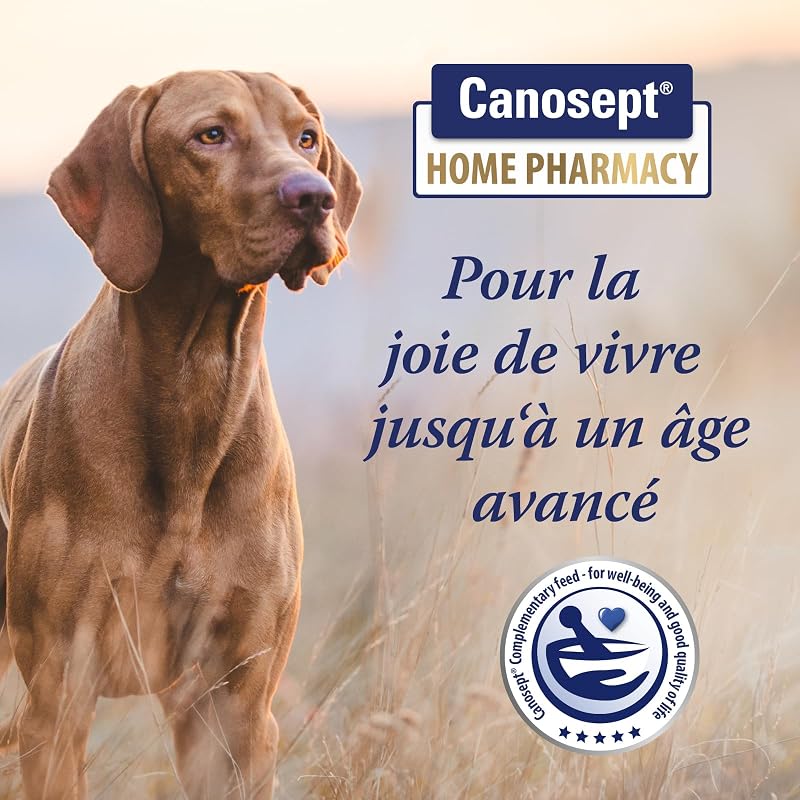 Flore Intestinale Chien - Prébiotiques et Probiotiques Chien - pour stabiliser la Digestion physiologique - Renforcer la Flore intestinale du Chien - 30 comprimés