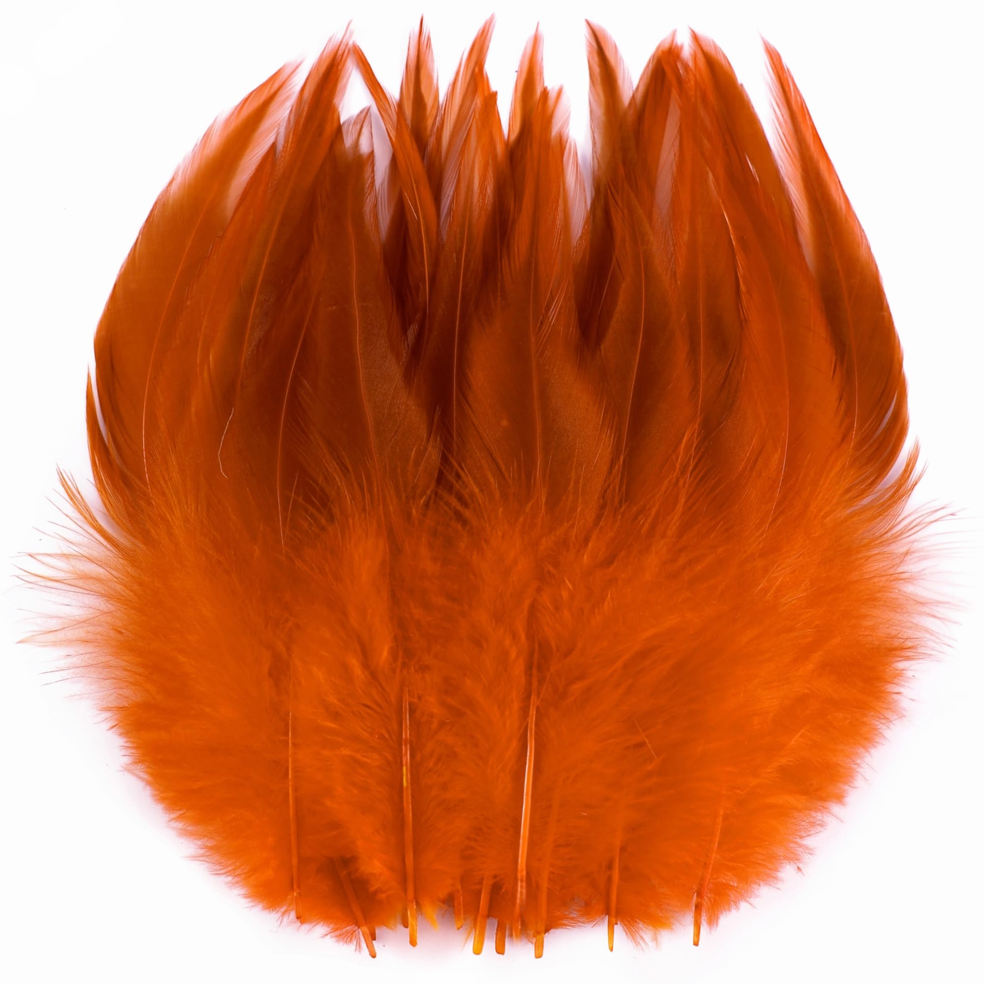 Photo 1 of Holmgren Orange Crafts Rooster Feathers - 200pcs 5-7inch Rooster Feathers for Hats, Jewelry Accessories and Halloween Holiday Party Decoration (Orange)