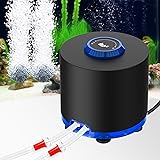 AQQA Aquarium Air Pump, Ultra-Quiet Fish Tank Air Pump 10W with Stainess Steel Dual Outlet, Adjustable Oxygen Powerful Aerato