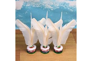 N-KONGJIAN 3PCS Shuttlecock, Badminton Thrower, Soft Kick Shuttlecock Chinese Jianzi Foot Sports Outdoor