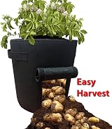DIVCHI 10 Gallon Potato Grow Bags 2 Pack with Harvest Window & Handles view 6