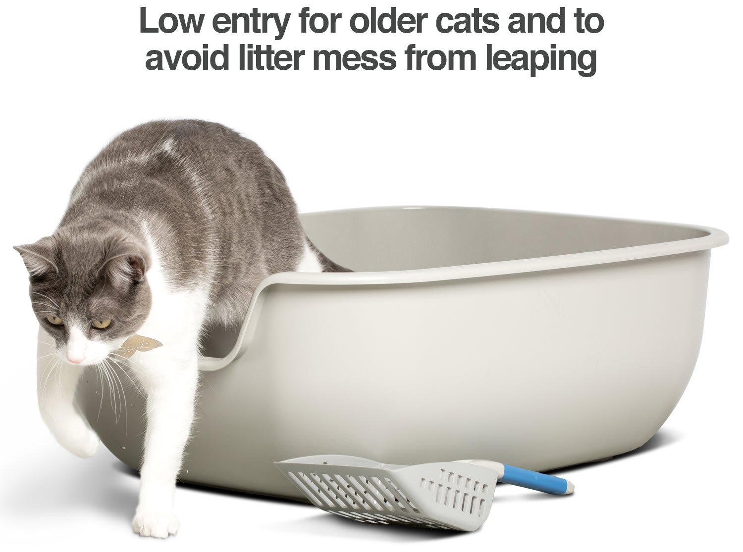 https://images-na.ssl-images-amazon.com/images/I/7103nmOFUhL.jpg