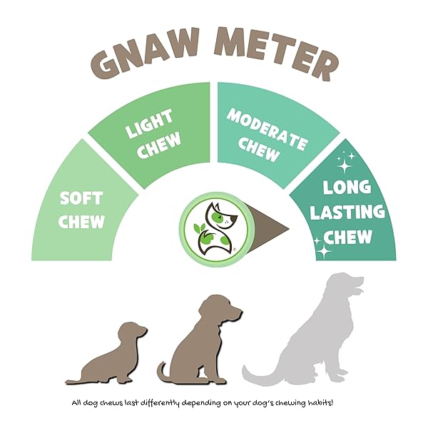 NATURE GNAWS SMALL BULLY STICKS FOR DOGS 5-6″ (25 COUNT) – LONG LASTING FOR LIGHT CHEWERS AND PUPPIES – NATURAL THIN BEEF DOG CHEW BONES – RAWHIDE FREE