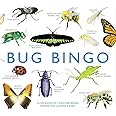Bug Bingo