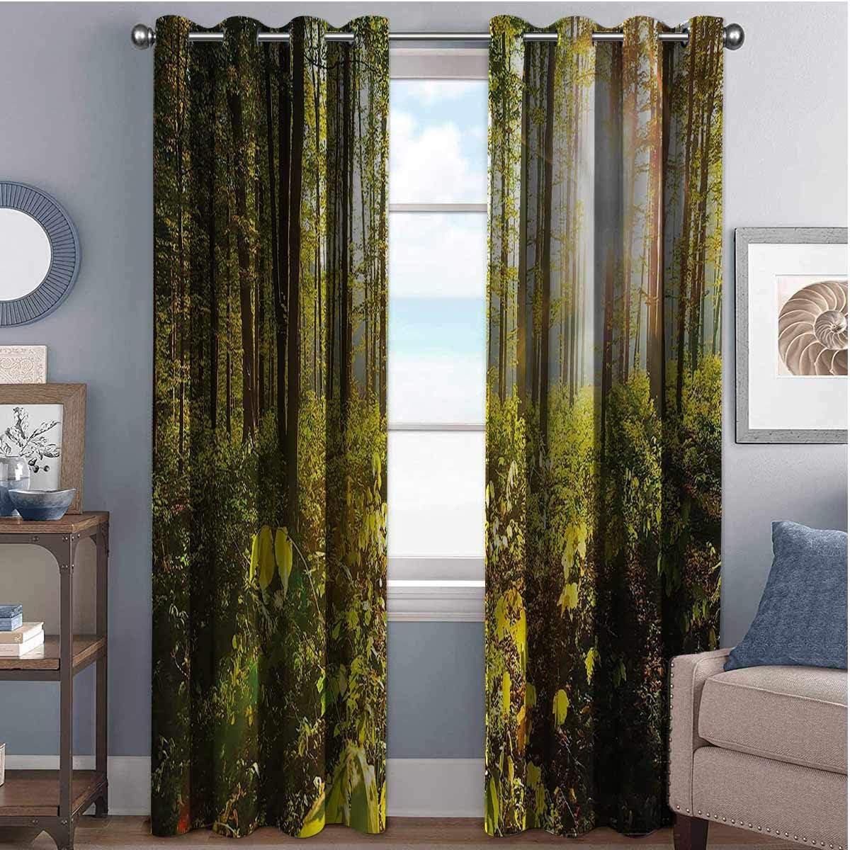 Amazon.com: Forest Blackout Curtains with Grommets darken Sun Rays