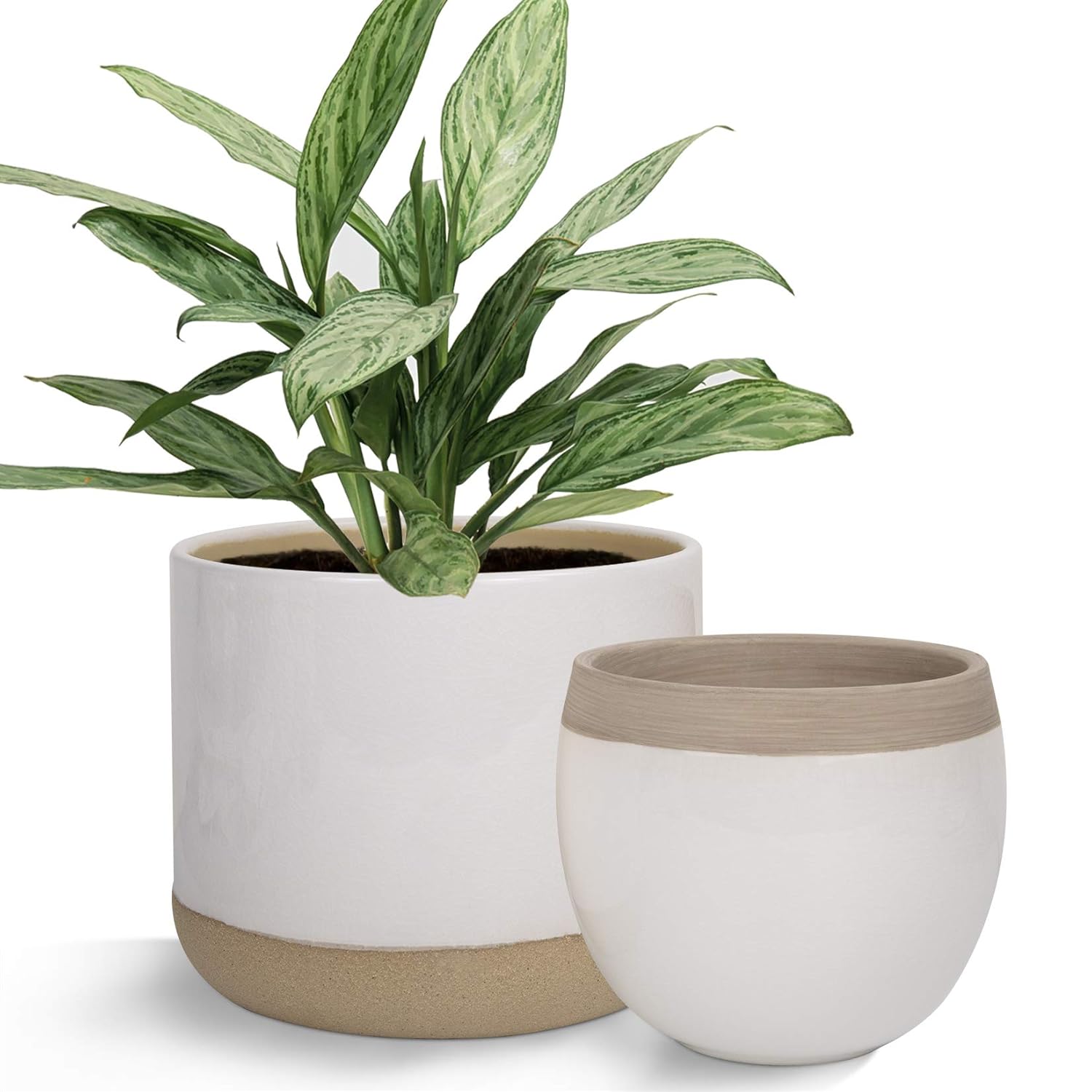 indoor clay plant pots