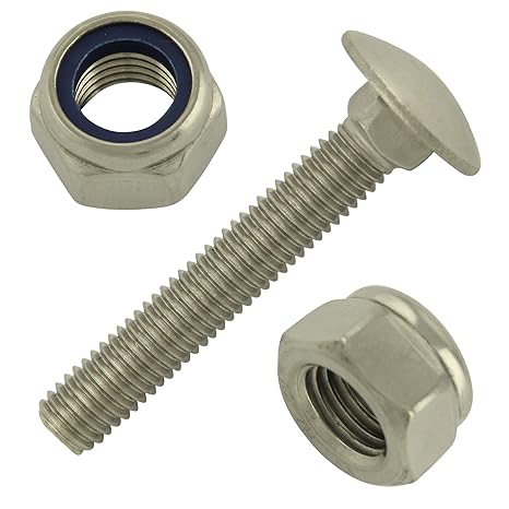 BiBa Schrauben Schlossschrauben Flachrundschrauben M10x30/30 Torbandschrauben Edelstahl A2 (2 Stück)|DIN 603|Vollgewinde mit 