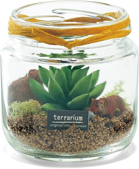 Amazon Co Jp ベルメゾン テラリウムパーク手作りキット トラ ホビー 通販