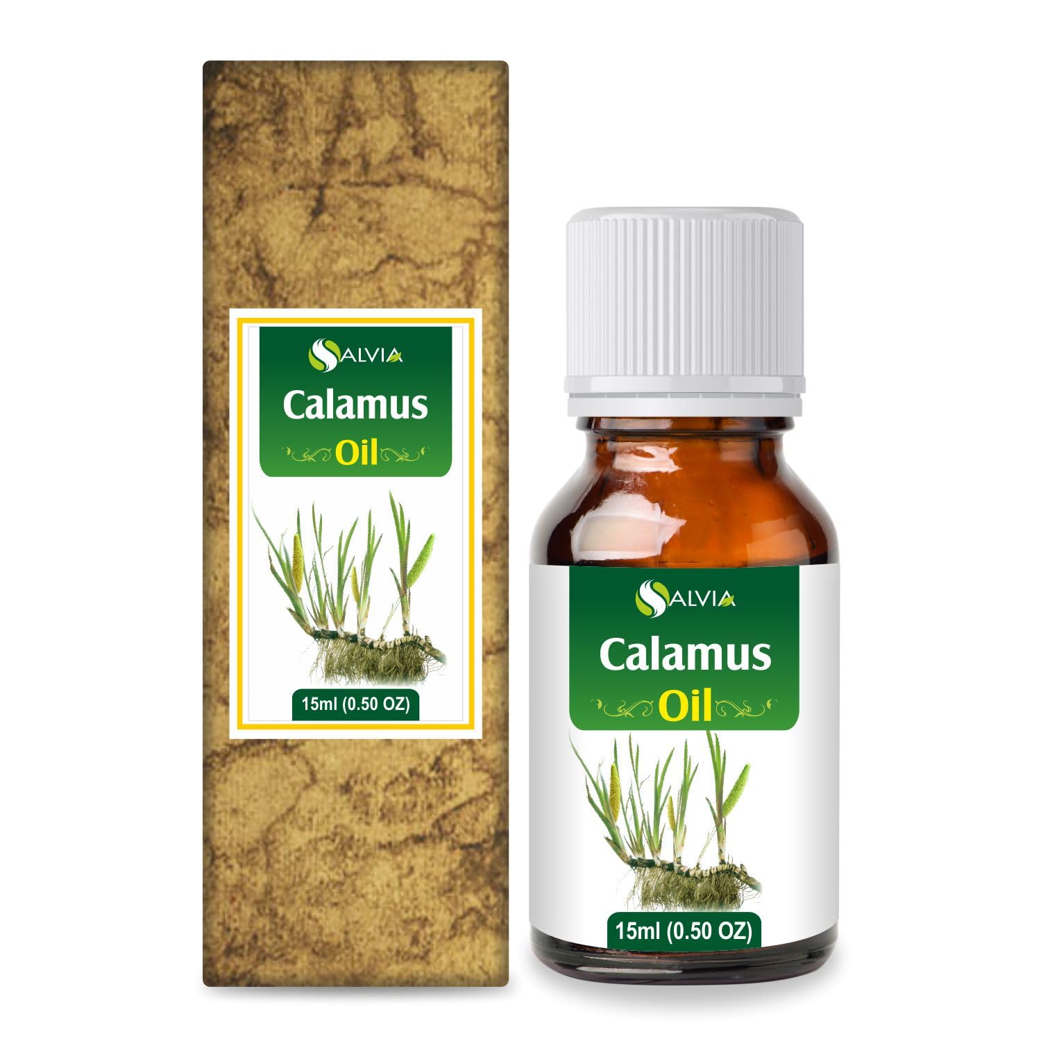 Calamus (Acorus Calamus) Essential Oil 100% Pure & Natural - Undiluted Uncut Cold Pressed Aromatherapy Premium Oil - Therapeutic Grade - 15 ML