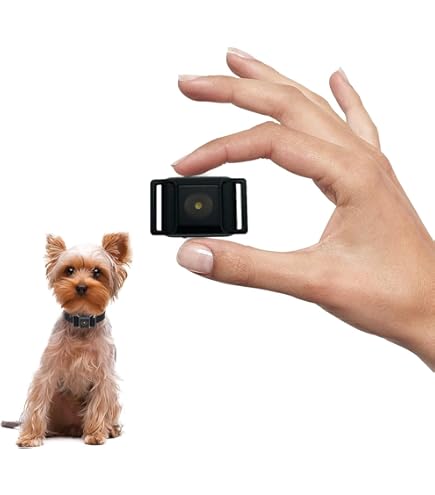 Amazon.com : Dog No Bark Collar with Smart Detection Vibration and Harmless Shock- Rechargeable Anti Barking Device for Small Medium and Large Dog : Pet Supplies Amazon.com : Dog No Bark Collar with Smart Detection Vibration and Harmless Shock- Rechargeable Anti Barking Device for Small Medium and Large Dog : Pet Supplies
