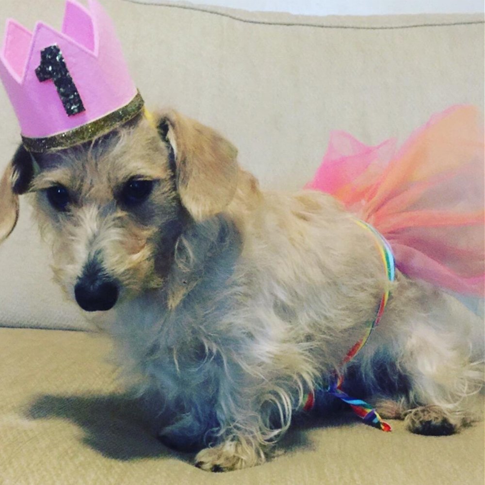 12 Pack Cincinnati Chili Mix Packets Cincinnati Recipe Bhbust051718a3938 Unique Christmas Gifts