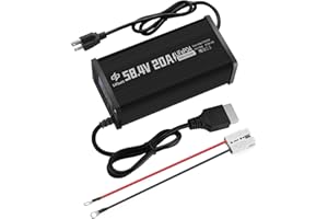 LIFBATT 48V 20A LiFePO4 Battery Charger 58.4V Lithium Battery Smart Charger with Anderson Connector and Anderson to M8 Adapter Cable,for Lithium LiFePO4 Deep Cycle Rechargeable Batteries of Car Truck Boat RV