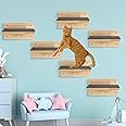 Lenwen Set of 6 Cat Wall Steps Shelf Shelves Wood Cat Climbing Shelves for Cat Mounted Furniture Cat Wall Bed Wood Cat Stairs with Non Slip Felt for Springboard Playing(Classic)