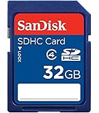 Amazon.com: SANDISK 32 GB Class 4 SD Flash Memory Card SDSDB-032G